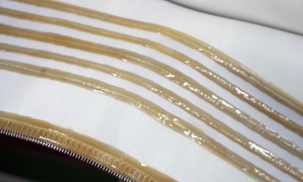 Characteristics of Phosphogpysum Filter Cloth