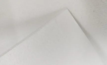 Causes of Vertical Press Filter Cloth Damage and Replacement Guide