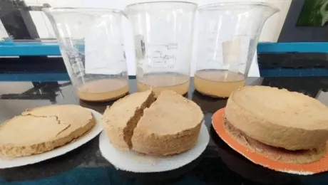 Filter Cloth Selection Tips｜Finding the Optimal Balance Between Filtration Precision and Air Permeability