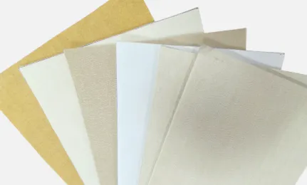 Bolian Filter Fabrics for Wet and Dry Filtration Applications